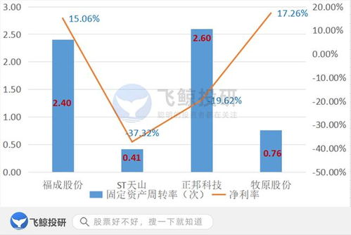 排雷必備 巧用固定資產篩選企業，優化企業資產管理