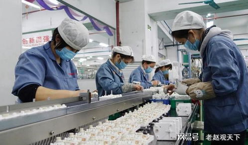 2023年中國(guó)外貿(mào)承壓 國(guó)內(nèi)貿(mào)易代理視角下的多重因素解析