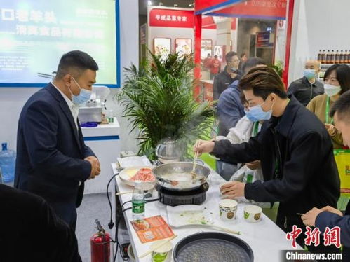 第七屆中國(guó)國(guó)際食品餐飲博覽會(huì)開幕 全球美食薈萃，住宿體驗(yàn)全面提升