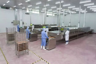 個性化定制，代言你的與眾不同——走訪三大會員企業的匠心之道